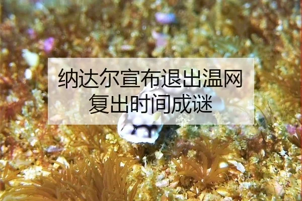 纳达尔宣布退出温网 复出时间成谜
